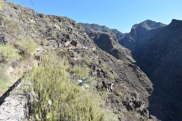 Hiking trail at the famous canyon Barranco del Infierno in Adeje in the South of Tenerife, Europe
