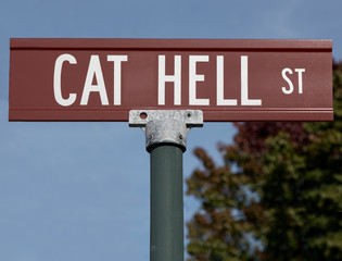 CAT HELL ST street sign.