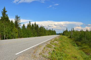 Fototapeta na wymiar North road. Summer landscape. Finnish Lapland