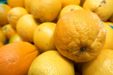 Fresh Organic Oranges Background.