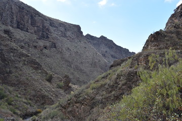 Hiking trail at the famous canyon Barranco del Infierno in Adeje in the South of Tenerife, Europe