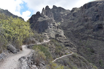 Fototapeta na wymiar Hiking trail at the famous canyon Barranco del Infierno in Adeje in the South of Tenerife, Europe