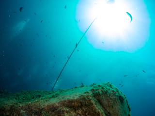 fondo marino con fondo azul