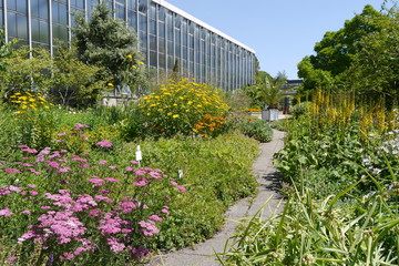 Blütenpracht und Gewächshaus im Botanischen Garten Tübingen