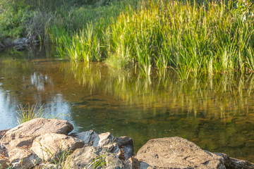 Theme river, river in mountain, margins with rocks and vegetation and mirror image in water in Portugal