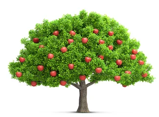 Gordijnen red apple tree isolated 3D illustration © andreusK