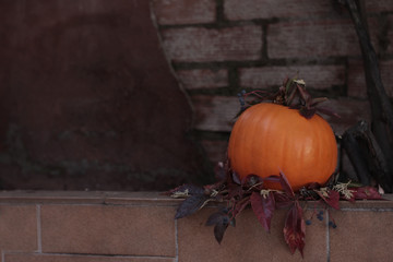 Calabaza cosechada para Halloween