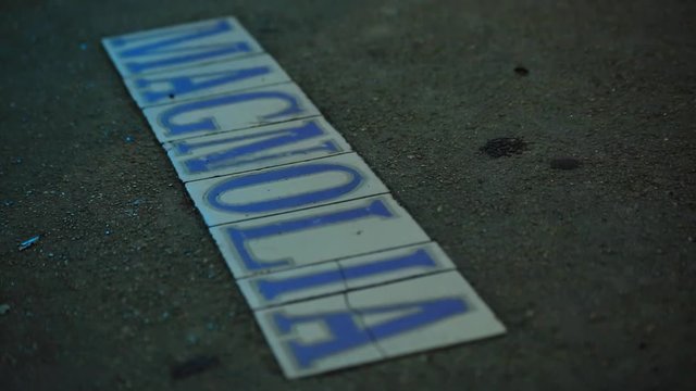 Close up of New Orleans Magnolia street sign tiles