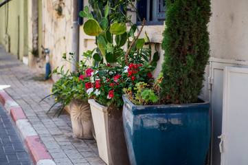 Fototapeta na wymiar Ceramic flower pot with flowers, outdoor decoration, street decor. Old street with flowers.