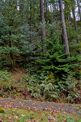 East Shore Recreation Area