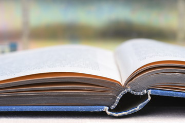 Opened book close-up with blurred background