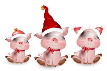 The year of the pig. Happy New Year
