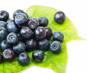 Fresh blueberry on green leaves