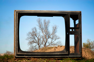 View on a tree through a broken TV at the city dump