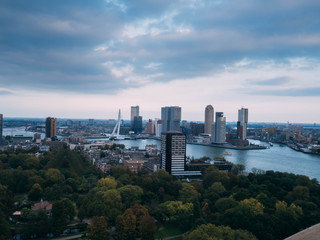 Obraz premium OLYMPUS DIGITAL CAMERA