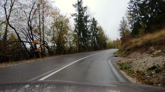 Driving on a road in autumn fog