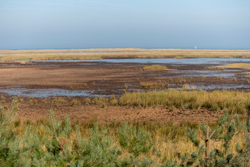 Landschaft am Darßer Ort auf dem Darß