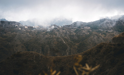 tenerife, Tenriffa, Hiking, green, urlaub, wandern, landscapes,  tree, cloud, view, trip, sky,...