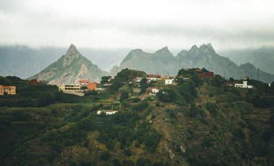 tenerife, Tenriffa, Hiking, green, urlaub, wandern, landscapes,  tree, cloud, view, trip, sky,...