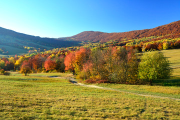 Beautiful colors of autumn in october, Low Beskids (Beskid Niski)