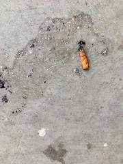 One cigarette on the cement floor - The cigarettes were pumped and thrown on the floor.