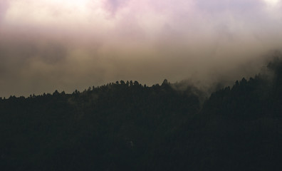 tenerife, Tenriffa, Hiking, green, urlaub, wandern, landscapes,  tree, cloud, view, trip, sky, sunset, nuture, sun, mountains, adventure, sea, sand, blue, water, outdoor, wave,