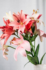 Obraz na płótnie Canvas Colorful lily flowers