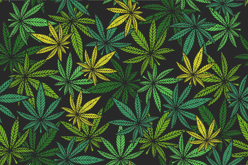 Cannabis color pattern - obrazy, fototapety, plakaty