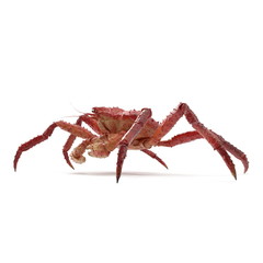 Red King Crab Kamchatka Isolated On White Background. 3D Illustration
