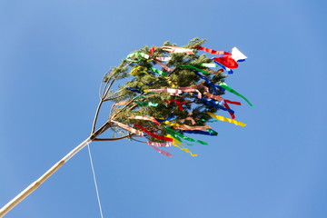 Traditional tall wooden maypole erected with ribbons and small Czech flag