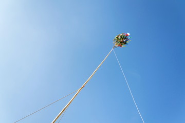Traditional tall wooden maypole erected with ribbons and small Czech flag