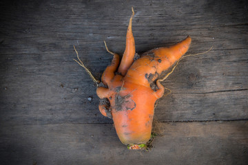 unusual shaped carrot on a wooden background