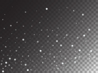 Winter Snowfall Ice Texture Vector Transparent Background. Realistic Snow Confetti Falling Down, Isolated Snowflake Scatter. Random Moving Realistic Snow Confetti, Christmas New Year Frost Decoration.