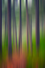 abstract green forest in motion 