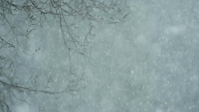 falling snow and strong wind, blurred background.
