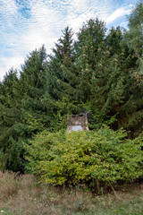 Ranger stand at the edge of the forest