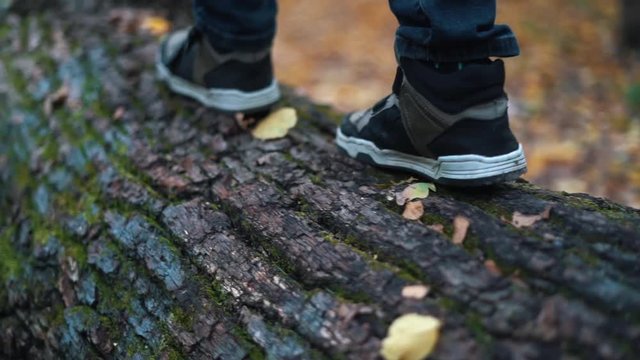 Teenager feet step by step walking on walking on fallen tree log in autumn forest - close up slow motion