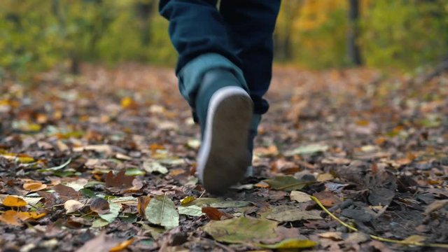 Close-up of feet of a boy on yellow leaves in autumn Park. A boy goes through the yellow fallen leaves in the forest, close-up.