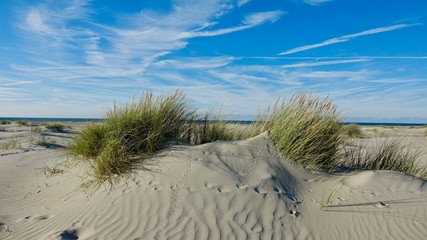 Fototapeta na wymiar Dünenlandschaft am Meer in Zeeland, Niederlande
