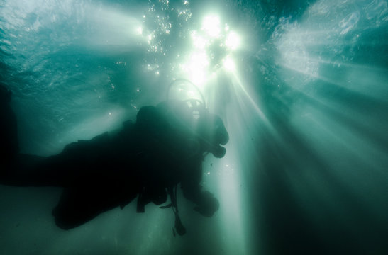 Person scuba diving underwater