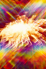 Light Motion Studies