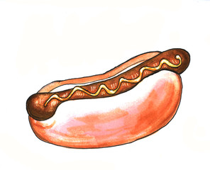 Hand drawn sausage hot dog fast food illustration