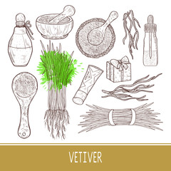 Vetiver. The plant. Leaves, root. Mortar, spoon, powder, bottle. Set. Monochrome. Sketch.