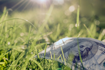American one hundred dollar bill on green grass. light rays background.