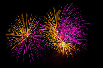Fototapeta premium Vibrant Fireworks