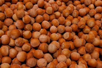 Hazelnut. Fresh organic filbert. Nuts macro. Food background