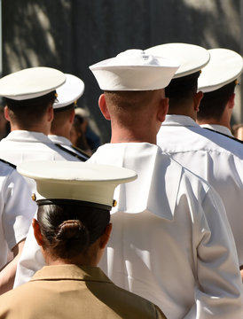 US Navy Sailors From The Back. US Navy Army.