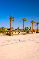 Fototapeta premium Palms near luxor temple
