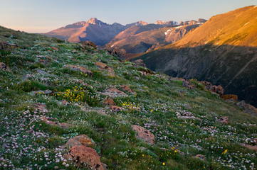 Longs Peak Sunrise