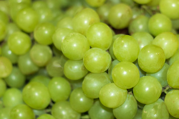 grapes
